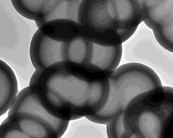 納米空心碳球及實(shí)心碳球改性產(chǎn)品JCHCS-99-550，JCSC-99-550-COOH，JCSC-99-550-NH2