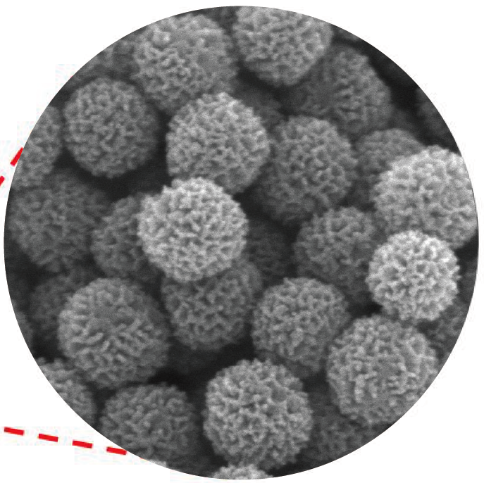 納米級(jí)單分散球炭、介孔納米球炭、微介納米球炭、鐵摻雜介孔納米球炭、親水性球炭